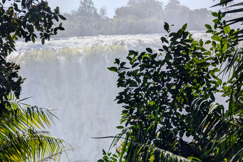 Victoria Falls: Historic Town Tour, Big Tree & Guided Walk