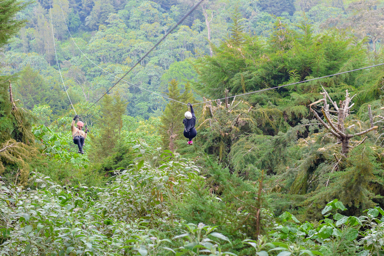 Kenya: la più lunga avventura in zipline in Africa a The Forest.