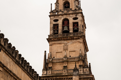 Cordoue : visite guidée en petit groupe de la mosquée-cathédrale