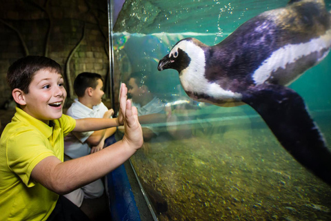 New Orleans: Audubon Aquarium Ticket & Optional Combinations Audubon Aquarium Ticket