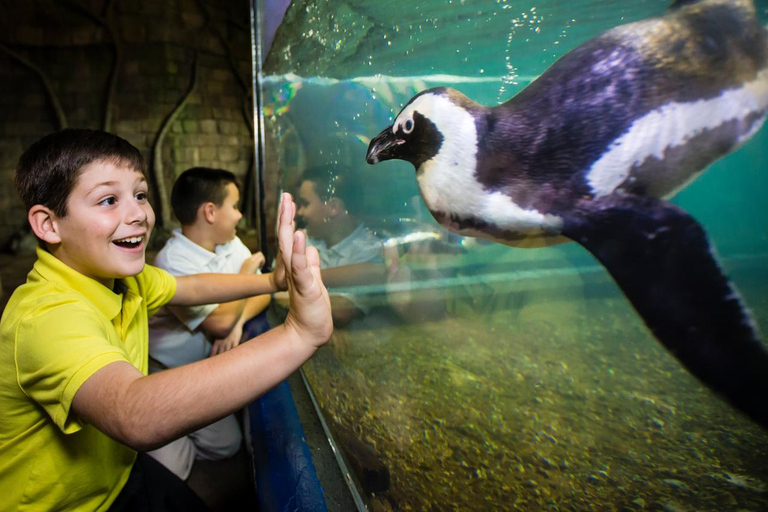 Nouvelle-Orléans : Billet pour l'Aquarium et l'Insectarium Audubon