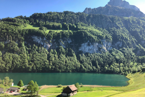 Swiss Highlights: Guided Zürich, Lucerne, Basel & Bern tour