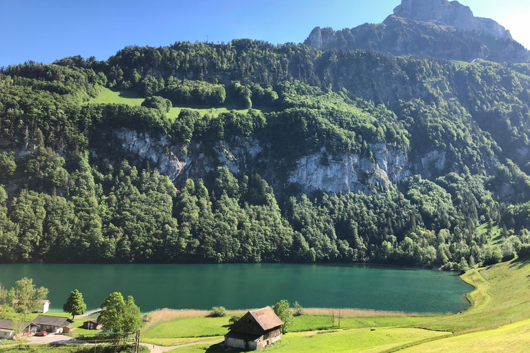 Swiss Highlights: Guided Zürich, Lucerne, Basel & Bern tour