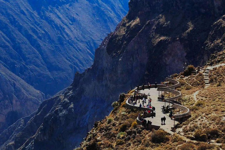 1 dagsutflykt till Colca Canyon +Transfer till Puno med måltider