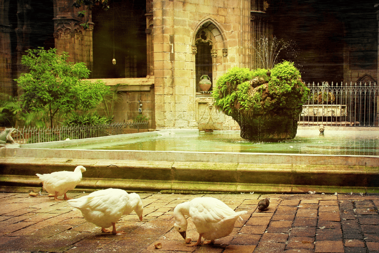 Barcelona Cathedral: Ticket, Guided Tour and VR Experience Barcelona Cathedral: Guided Tour In English