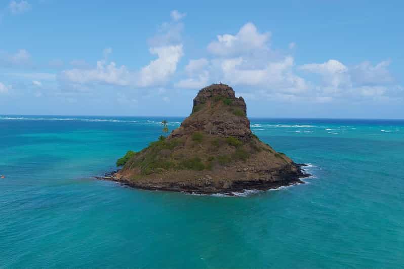 Oahu Private North Shore Tour w/ Waimea Valley & Waterfall GetYourGuide