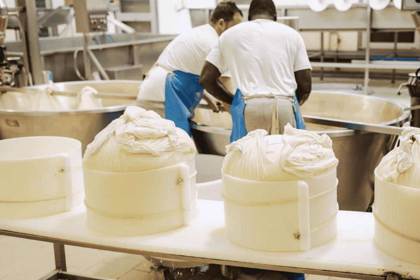 Parmesan Cheese Factory Tour & Tasting near Parma