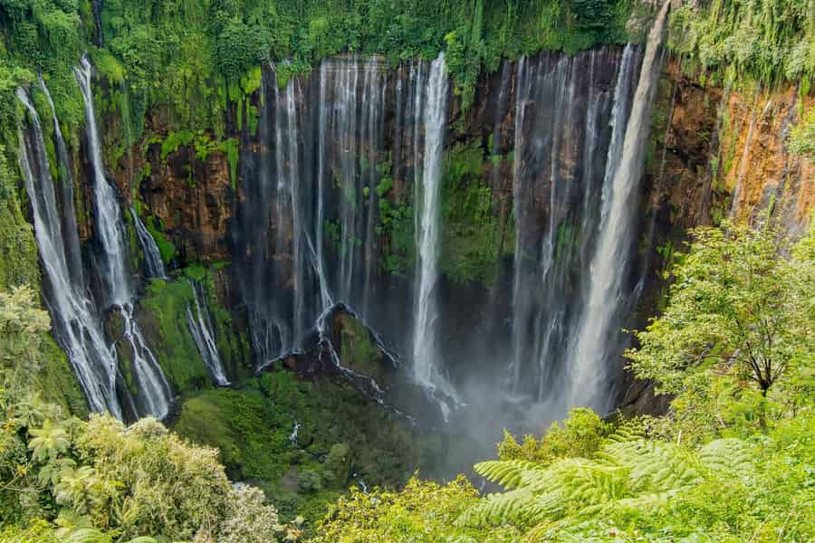 Von Malang: Tagestour zum Tumpak Sewu Wasserfall (gemeinsame Fahrt). Foto: GetYourGuide Von Malang: Tagestour zum Tumpak Sewu Wasserfall (gemeinsame Fahrt). Foto: GetYourGuide