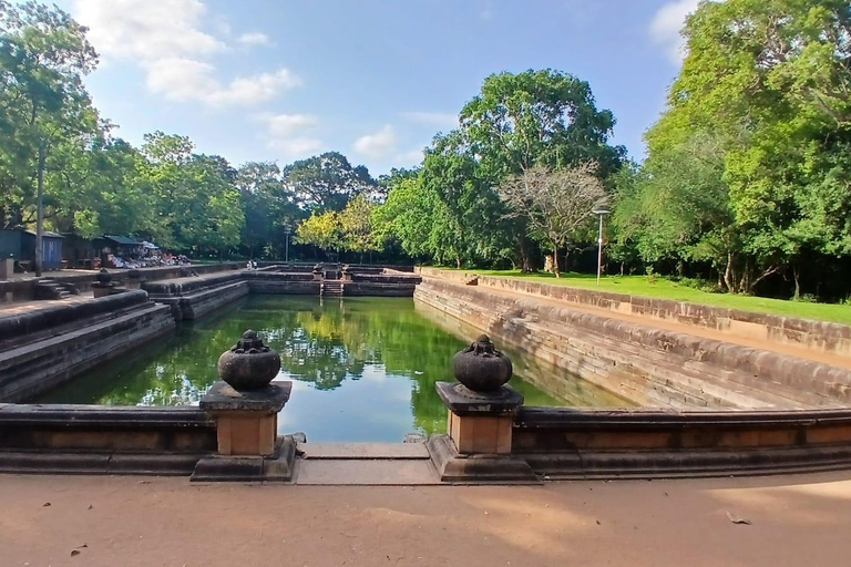From Colombo/Negombo to Anuradhapura Day Tour with Mihintale