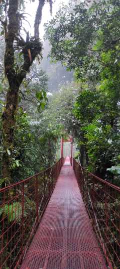 Monteverde: Exploring the Cloud forest