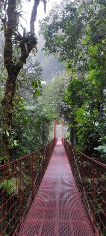 Monteverde: Het nevelwoud verkennen