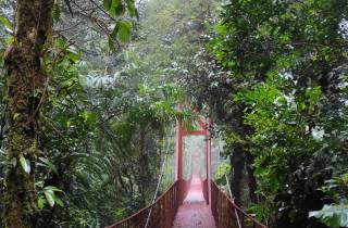 Monteverde: Erkundung des Nebelwaldes