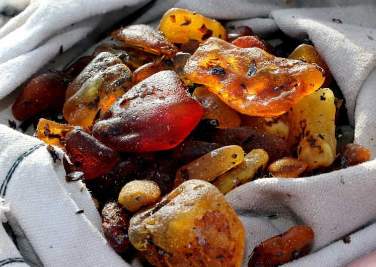 Private Tour: Amber Hunting in Curonian Spit from Klaipeda
