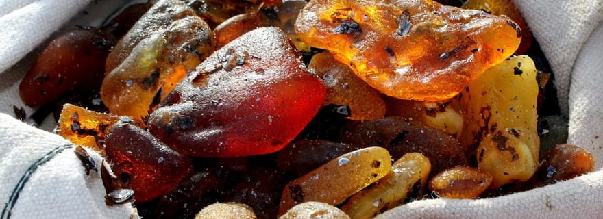 Visite privée : à la recherche d'ambre dans l'isthme de Courlande depuis Klaipėda