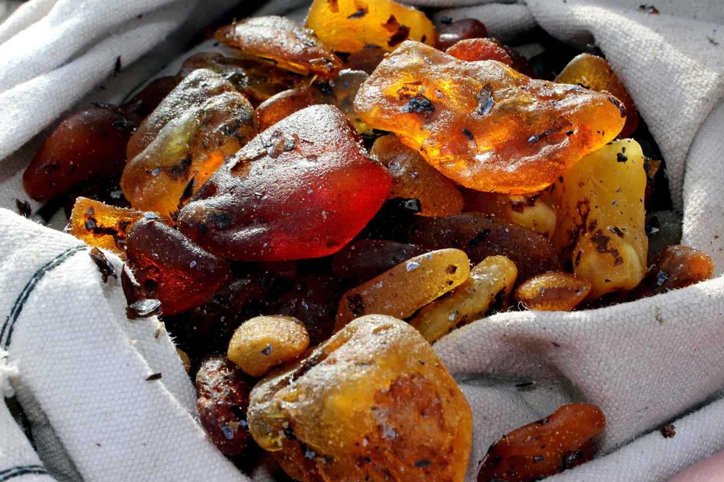 Private Tour: Amber Catching in Curonian Spit from Klaipeda