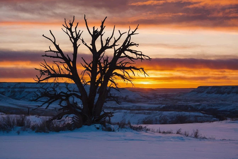 Canmore/Banff: Sunrise Moraine Lakes & Louise Adventure Tour