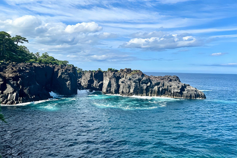 Small Group Day Tour:Omuro Mountain & the Izu Scenic Railway Hotel Transfer Option