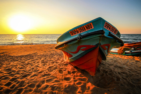 Explore Negombo and Colombo Day Tour