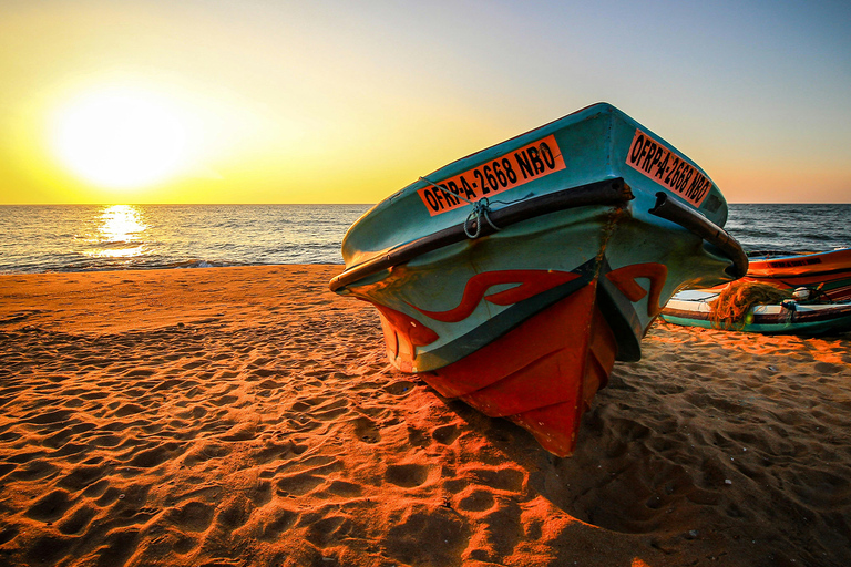 Explore Negombo and Colombo Day Tour