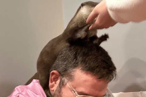 原宿：融合传统与流行文化的家庭之旅原宿：适合全家人体验的传统与流行文化的融合