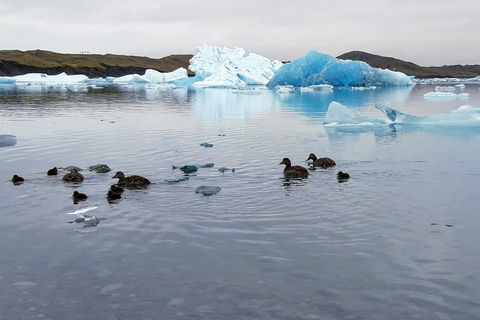 Glacier Lagoon and Diamond Beach Private Tour from Reykjavik