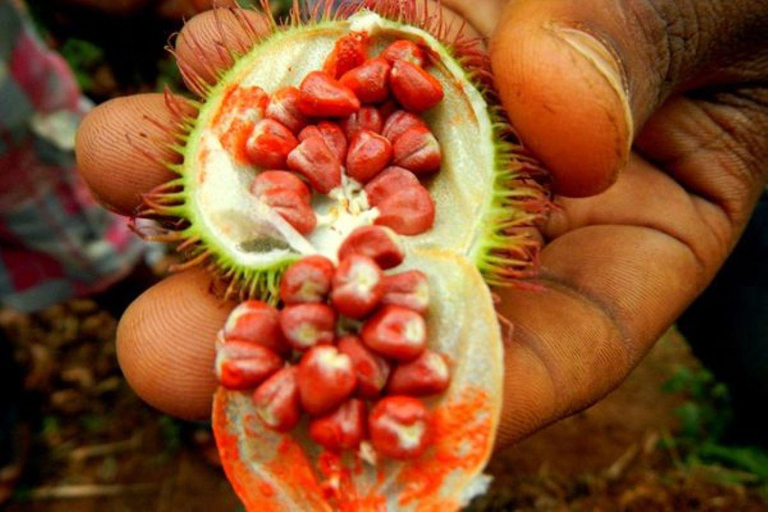 Passeio dos macacos, passeio das especiarias com almoço, mercado de peixe noturno