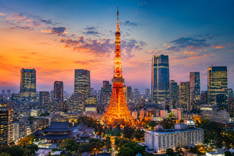 Tokyo Private Customizable City Highlights Guided Tour