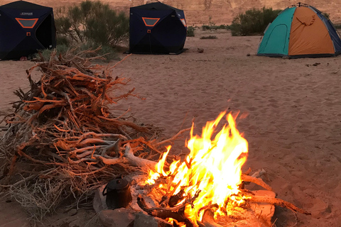 Wadi Rum: Desert Camp Tour With Jeep Safari And Star Gazing:
