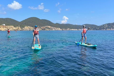 Ibiza: Tour guiado de SUP na Reserva Natural Marinha