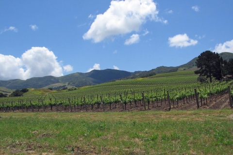 Descorcha Santa Bárbara: Un tour privado por la región vinícola