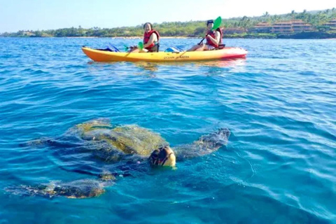 Airlie Beach: excursão de meio dia para observação de tartarugas e aventura de caiaque no mar