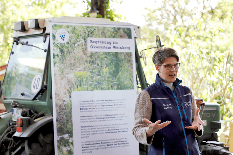 Organic wine discovery tour with tasting at the Mohr-Gutting organic winery (Palatinate)