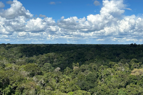 Manaus: Amazon Museum Guided Tour with Biologist Guide