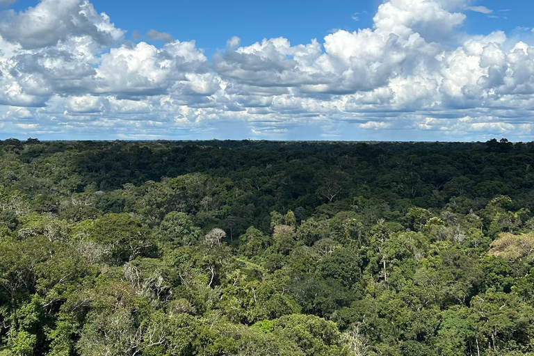 Manaus: Amazon Museum Guided Tour with Biologist Guide