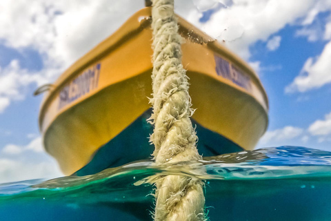 Snorkeling in Montego Bay with Transportation From Grand Palladium/ Lady Hamilton