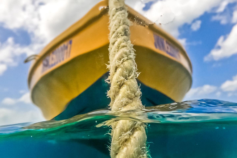 Snorkeling in Montego Bay with TransportationFrom Grand Palladium/ Lady Hamilton