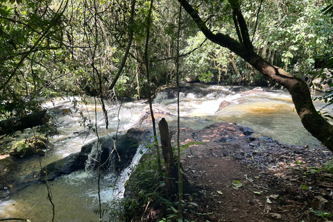 Essence of Iguazú: Full-Day Tour of Iguazú Falls (Brazil Side) and São João Trail Essence of Iguaçu: Full Day at Iguaçu Falls, Brazil, and São João Trail