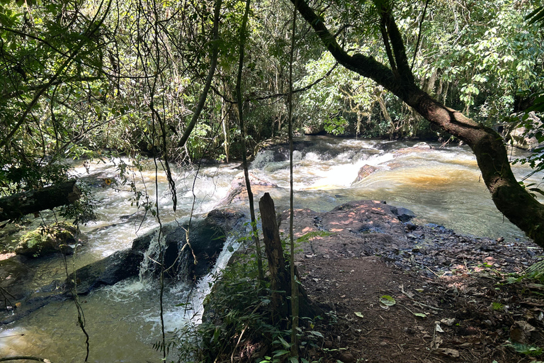 Essence of Iguazú: Full-Day Tour of Iguazú Falls (Brazil Side) and São João Trail Essence of Iguaçu: Full Day at Iguaçu Falls, Brazil, and São João Trail