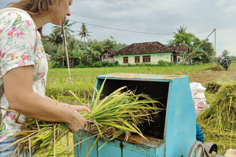 Yogyakarta: Kulon Progo Village Cycling Tour with Snacks