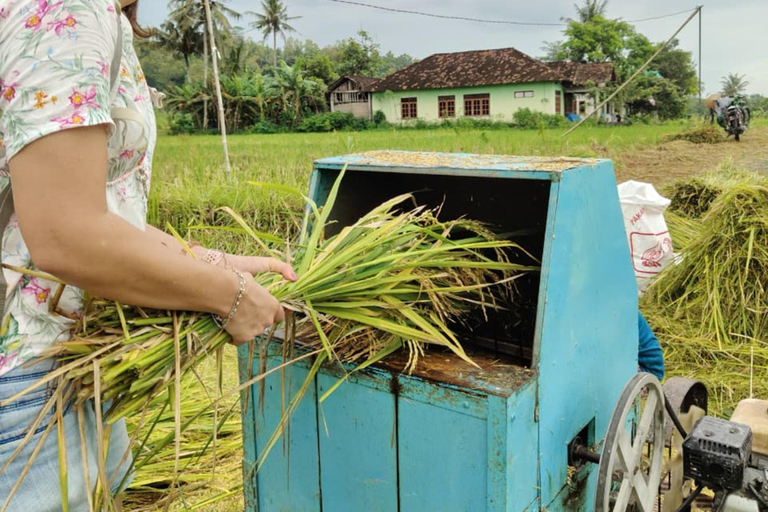 Yogyakarta: Kulon Progo Village Cycling Tour with Snacks