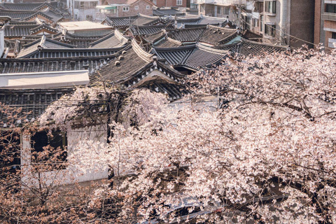 Séoul : Temple de Bongeunsa et visite nocturne gourmande à Gangnam