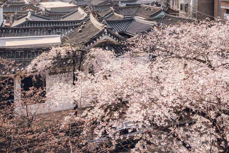 Séoul : Temple de Bongeunsa et visite nocturne gourmande à Gangnam