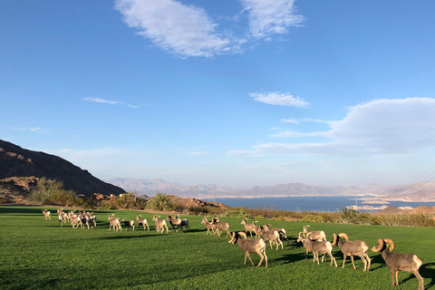 Las Vegas: Grand Canyon West &amp; Hoover Dam Day Trip