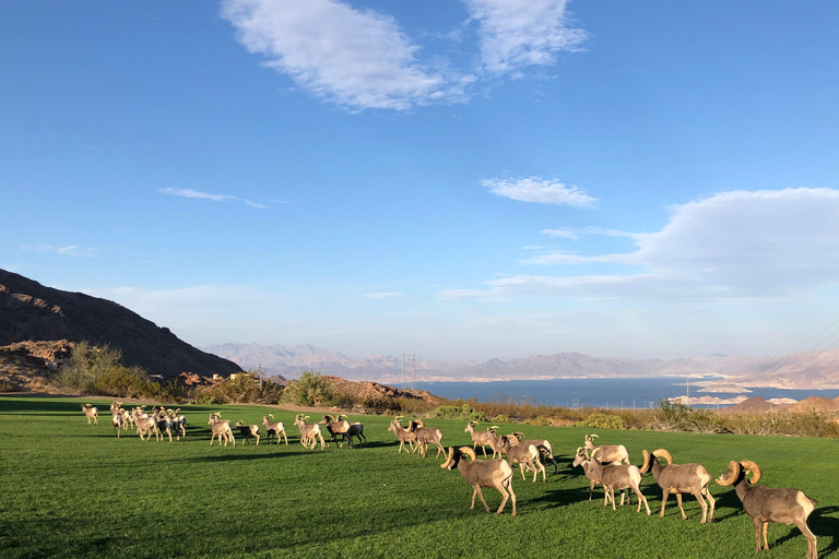 Las Vegas: Grand Canyon West &amp; Hoover Dam Day Trip