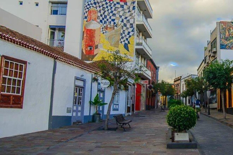 Los Llanos de Aridane: Art & Heritage Private Walking Tour