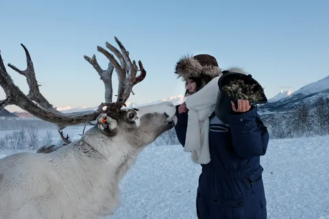 Vanuit Tromsø: Rendier voeren en Sami ervaring met lunch