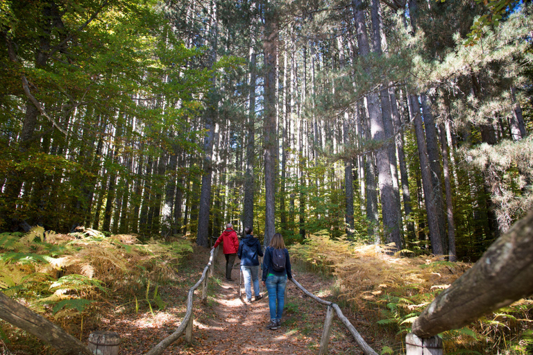 Camigliatello: Tour to the Giants Reserve & Wine Tasting Tour to the Giants Reserve & Wine Tasting