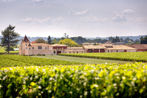 Saint-Emilion: Vineyard Visit and Gourmet Picnic Basket Saint-Emilion: Vineyard Tour and Gourmet Picnic Basket