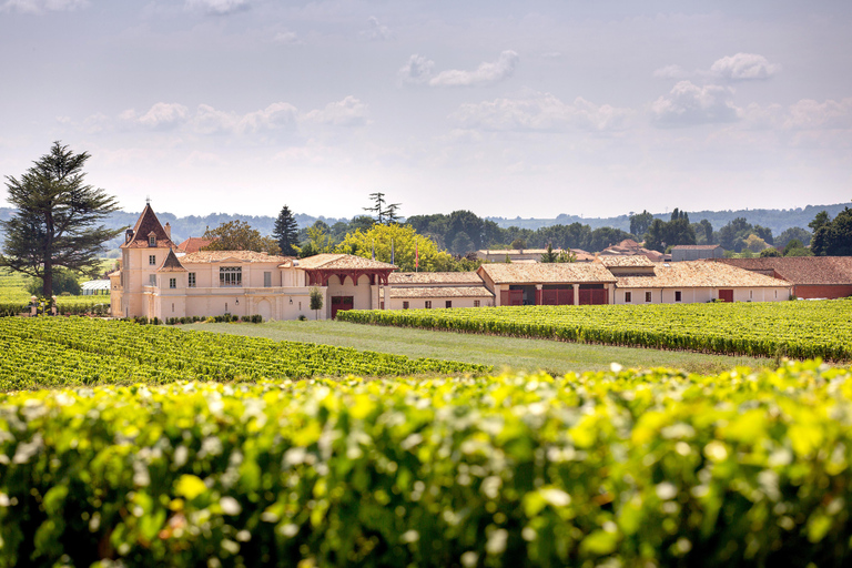 Saint-Emilion: Vineyard Visit and Gourmet Picnic Basket Saint-Emilion: Vineyard Tour and Gourmet Picnic Basket