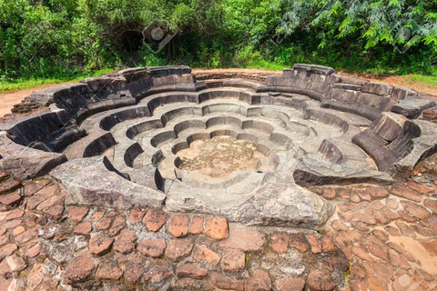Polonnaruwa Ancient City & Safari Tour